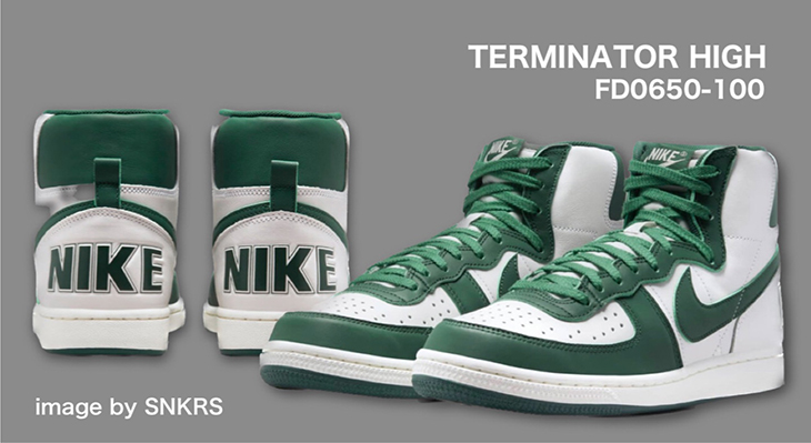 NIKE TERMINATOR HIGH | FD0650-100