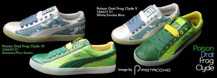 Poison Drat Frog Clyde WAPoison Drat Frog Clyde X