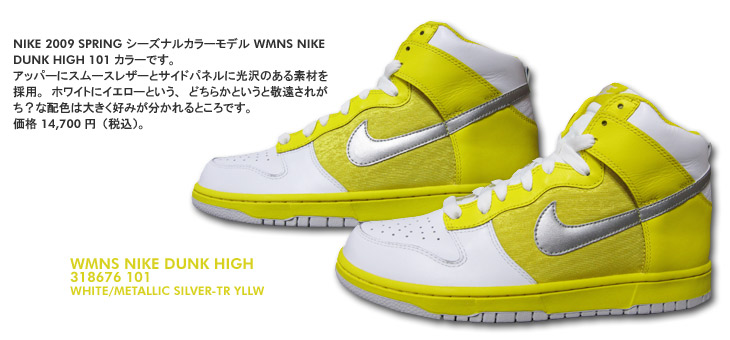 WMNS NIKE DUNK HIGH@101 J[