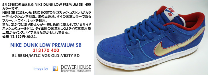 NIKE DUNK LOW PREMIUM SB　400 カラー