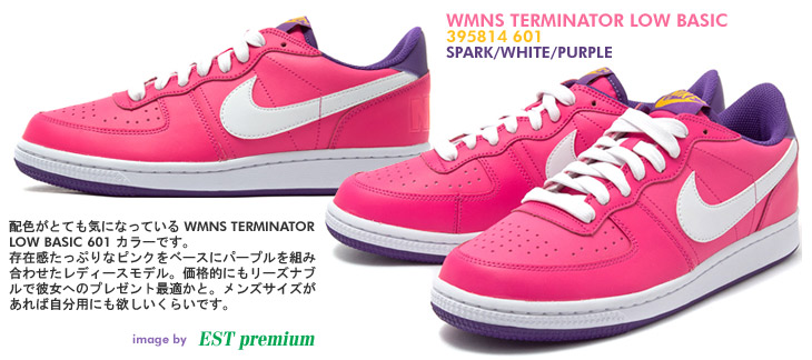 WMNS TERMINATOR LOW BASIC　601 カラー