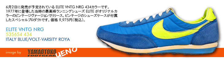 ELITE VNTG NRG　434 カラー