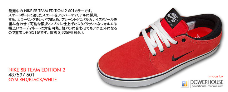 NIKE SB TEAM EDITION 2　601 カラー