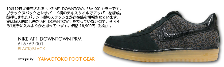 NIKE AF1 DOWNTOWN PRM　001 カラー