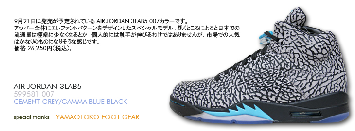 AIR JORDAN 3LAB5　007 カラー