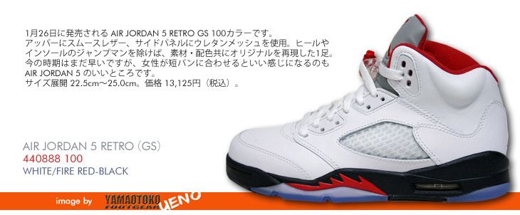 AIR JORDAN 5 RETRO (GS)　100 カラー