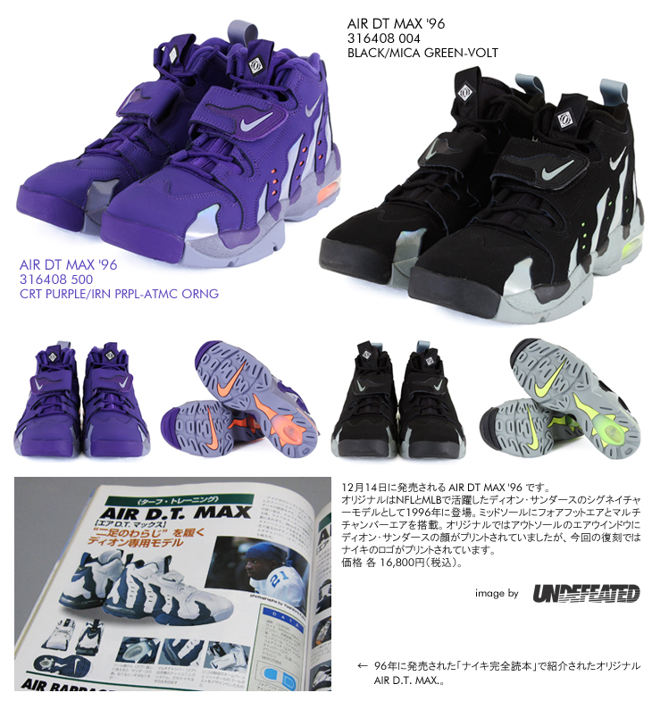 AIR DT MAX '96 (316408-004)(316408-500)