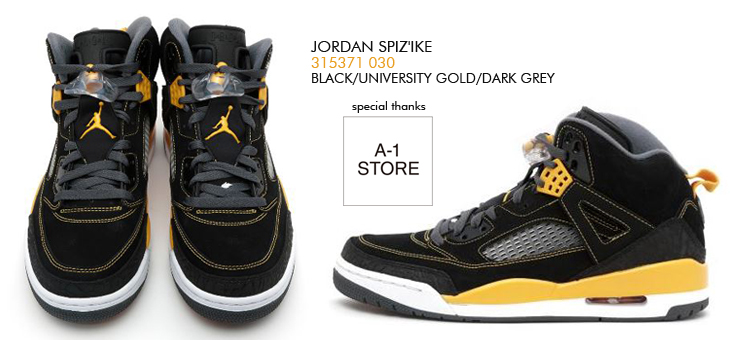 JORDAN SPIZ'IKE　030 カラー