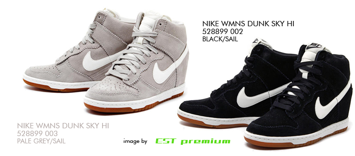 NIKE WMNS DUNK SKY HI