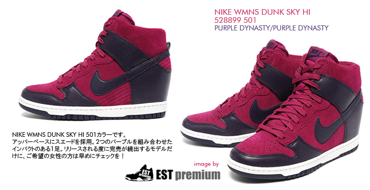 NIKE WMNS DUNK SKY HI　501 カラー