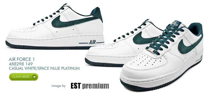 AIR FORCE 1 （488298-149）