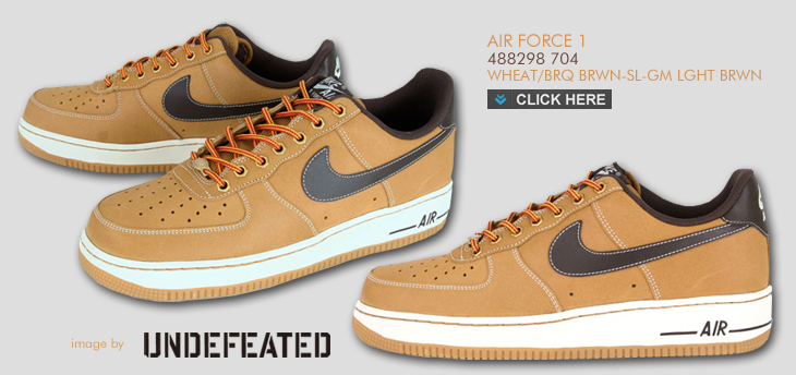 NIKE AIR FORCE 1 | 488298-704