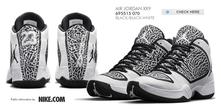 AIR JORDAN XX9 | 695515-070