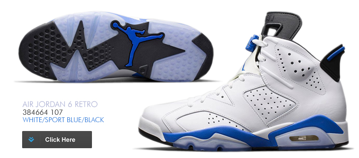 AIR JORDAN 6 RETRO　384664-107