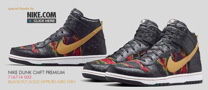 NIKE DUNK CMFT PREMIUM | 716714-002