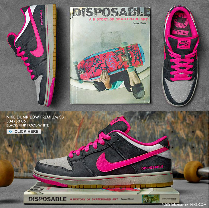 NIKE DUNK LOW PREMIUM SB "DISPOSABLE" | 504750-061