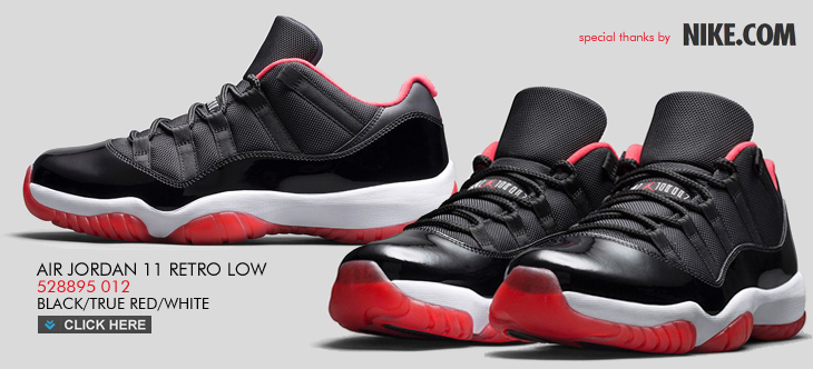 AIR JORDAN 11 RETRO LOW | 528895-012