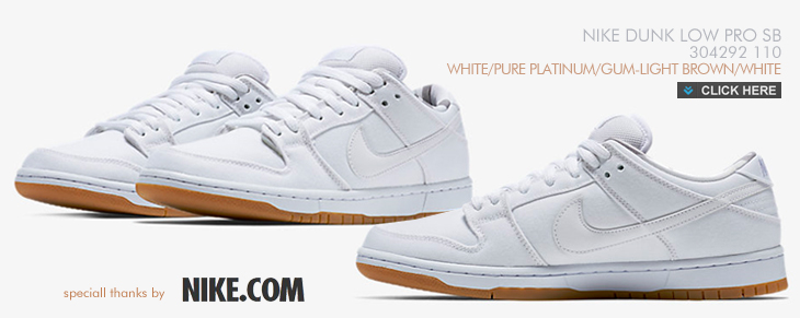 NIKE DUNK LOW PRO SB | 304292-110