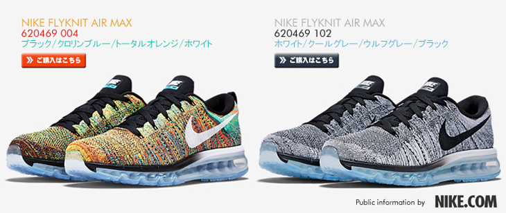 NIKE FLYKNIT AIR MAX | 620469-004 | 620469-102