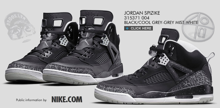 JORDAN SPIZIKE | 315371-004