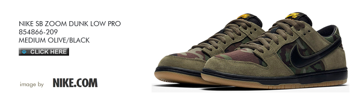 NIKE SB ZOOM DUNK LOW PRO | 854866-209