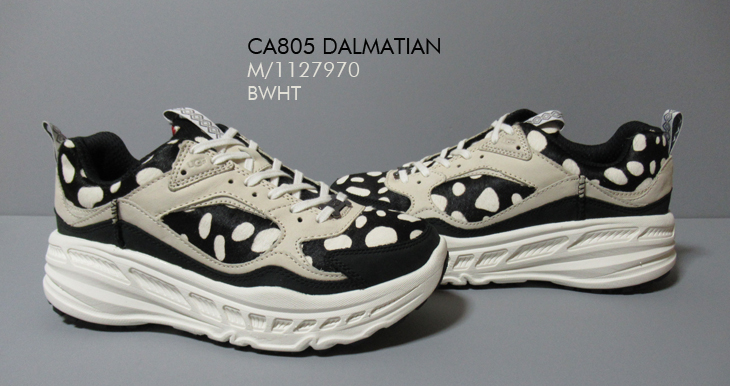 CA805 DALMATIAN