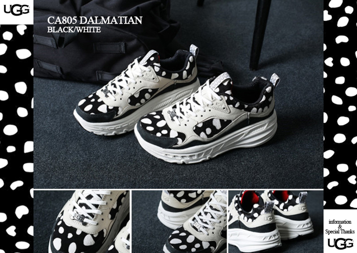 CA805 DALMATIAN | UGG®