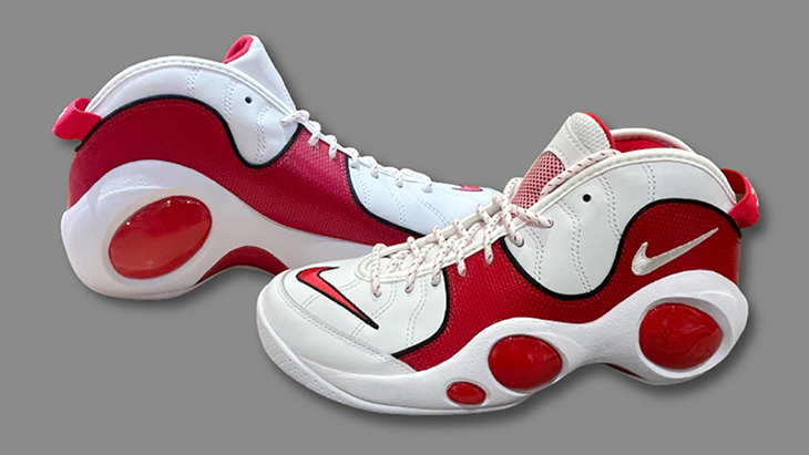 AIR ZOOM FLIGHT 95 | DX1165-100